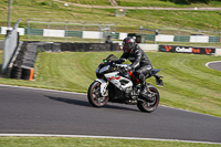 Lower Group Multicolour Bikes